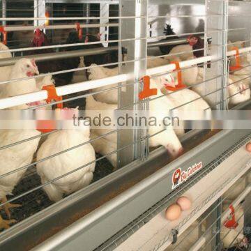 Probiotics for Pigs and Chicken Drinking Additive photo-3