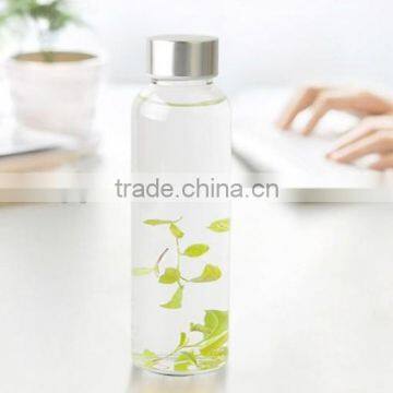 Hot sale 550ml borosilicate glass water bottle