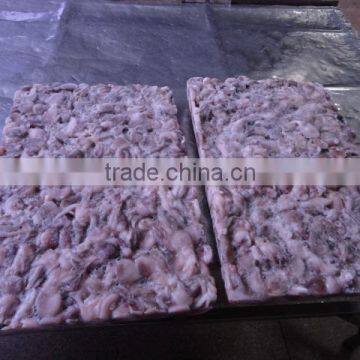 Frozen Octopus photo-3