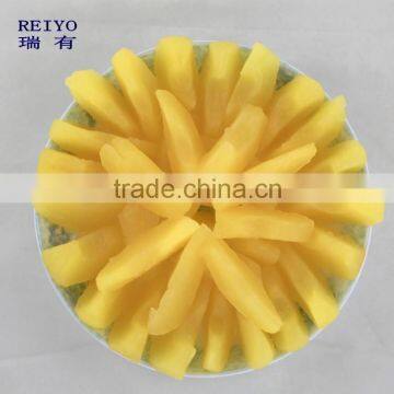 1/8 cut Fuji apple in tins