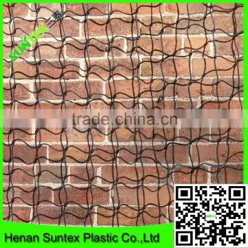 Heavy Duty Long-lasting Trellis Netting Garden Plant Support Plastic Netting photo-6