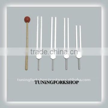 DNA Nucleotides Tuning Fork Set