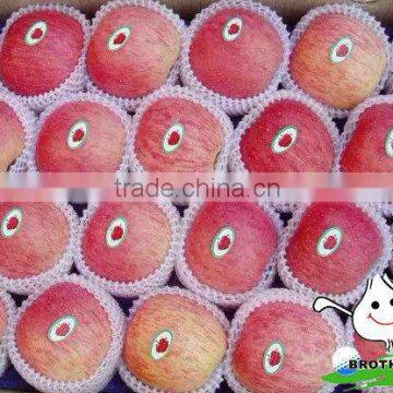 Fresh apple fruit for sale china fuji apple fruits