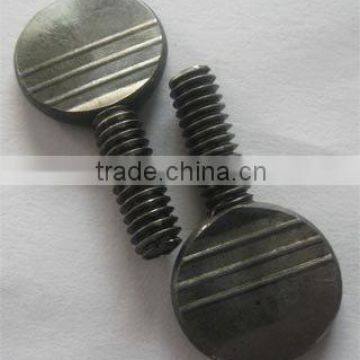 Large Flat Head Screws