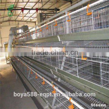 Battery Cages for Laying Hens photo-2