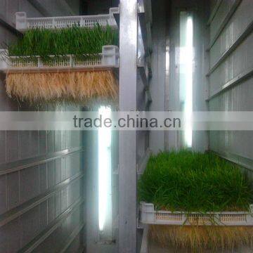 Farm Fodder Manufacturer-Sprouting machine