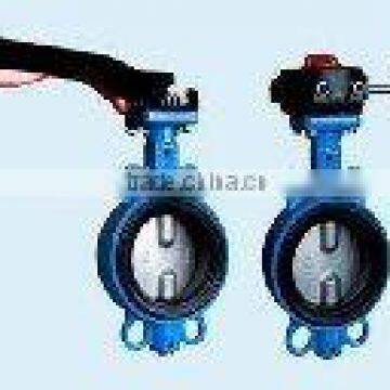 Plastic butterfly valve