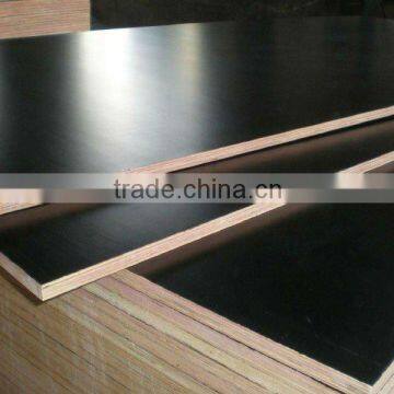 marine grade plywood for construction/shipping