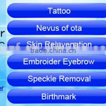 2016 Anybeauty F12 Tattoo Removal Laser Device photo-5