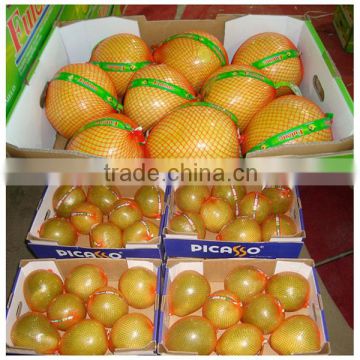 12KG Carton of Honey Pomelo Grapefruit