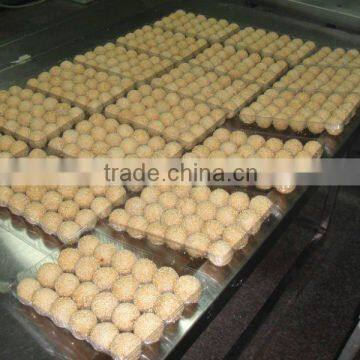 Frozen fried sesame ball