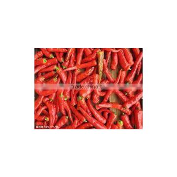 2012 dried chilli--variety size--depend on client market