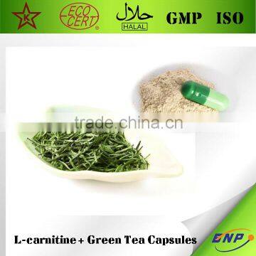 BNP Supple High Quality L-carnitine + Green Tea Capsules from Qingdao BNP - Slimming Capsule