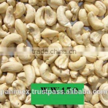 cashew kernel WW450