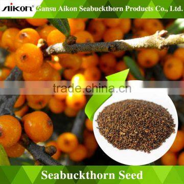 seabuckthorn seed