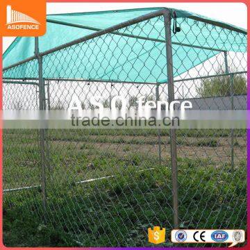 10ft*10ft dog cage hot-dipped galvanized pipe dog kennels