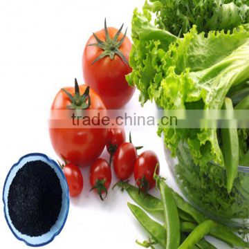 seaweed source wholesale organic kelp fertilizer