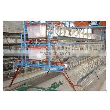 automatic chicken layer cage/chicken egg poultry farm equipment