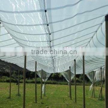 PE Anti-hail Net protection agriculture net/Windbreak Netting