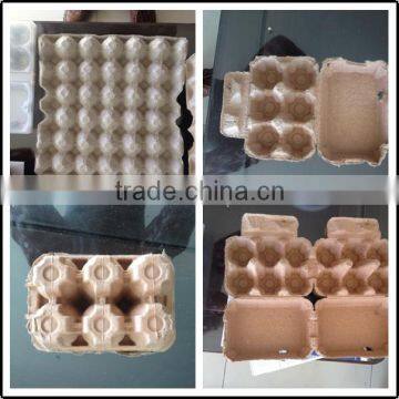 Paper Egg Packaging Cartons Tray
