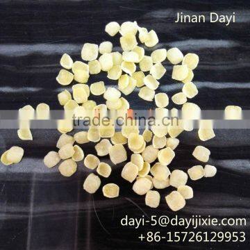 Industrial Bread Crumbs Snack Food Processing Line/Bread Crumb Process Line From Jinan Dayi photo-2