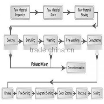 Great Quality and Automatic--10TPH Complete Sesame Plant photo-5