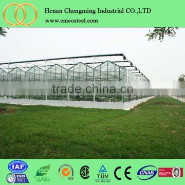 8m width multi-span plastic film tunnel vegetable greenhouses for sale