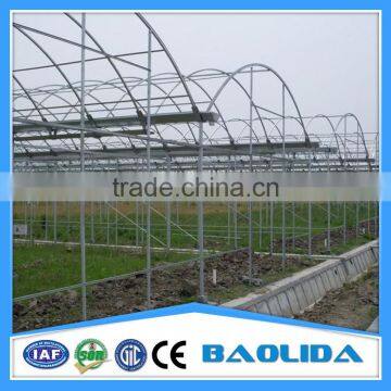 Commercial Greenhouse for Agriculture photo-4