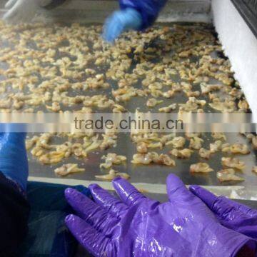 IQF Surrf Clam/short Necked Clam Meat photo-5