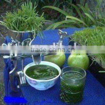 home use hot sale healthy wheat grass juicer