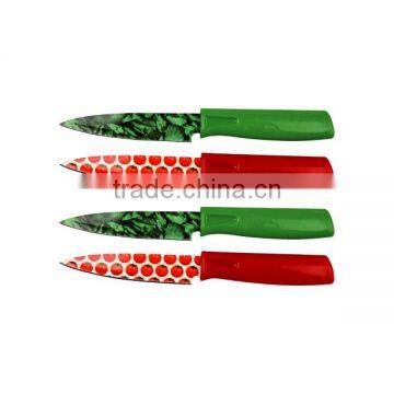 Excellent Quality Eco-friendly Fruit Paring Knife photo-4