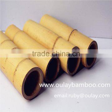 50cm Moso Bamboo Canes