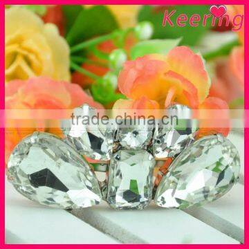 Clear Rhinestone Shoe Clips in fashion design