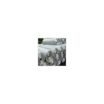 Galvanized Welded Wire Mesh Rolls