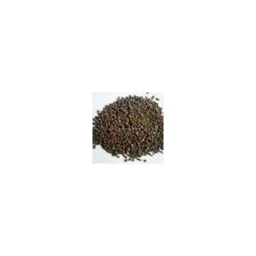 Piperine Extract