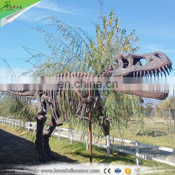 National Museum Artificial Real Size Dinosaur Fossil for sale