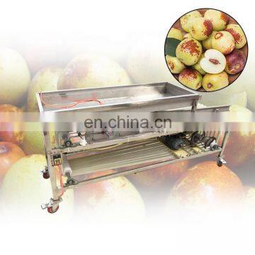Cherry Tomato Washing Grading Machine/Fruit and Vegetable Processing Machine/strawberry Sorting Machine photo-5