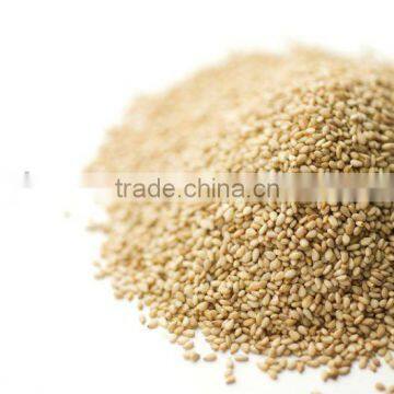SMALL WHITE SESAME SEEDS