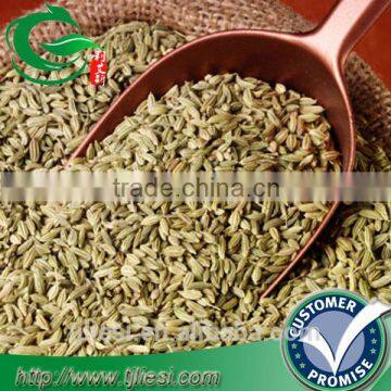 supply fennel powder for pungent spice