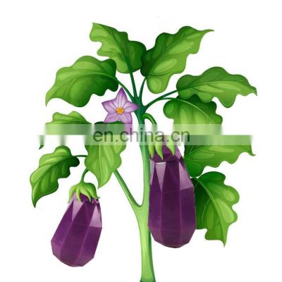 eggplant shaped unique dog play and chew toy treats pet toy pet products manufacturer