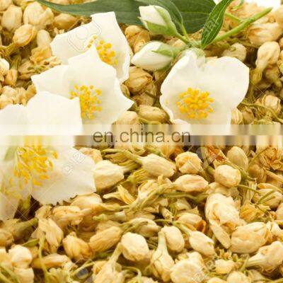 Original Vietnam Dried Jasmine Flower/Healthy Jasmine From Jasminum for Blooming Flower Tea Made in Vietnam photo-2