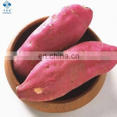 Chinese Yam Fresh Sweet Potato