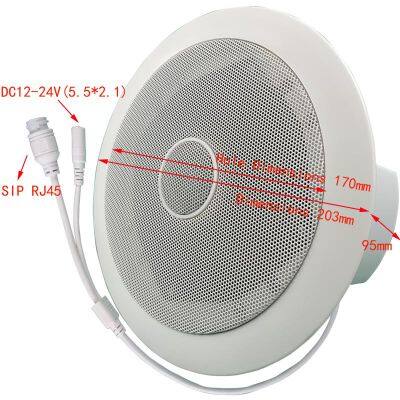 SIP Speaker POE Внутренний потолочный динамик 10W 20W Акустический динамик