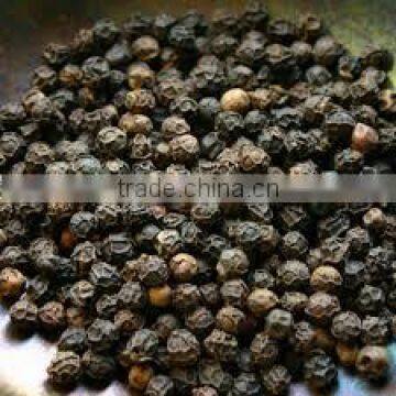 Pepper nut/dried black pepper nut/cheap from Vietnam