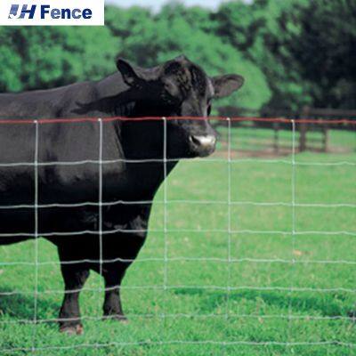 Verzinktes Hähnchenschnitzdrahtnetz, wasserdicht, rostbeständig und leichtgewichtiges Kettenzaun