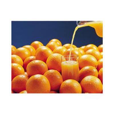 Малогабаритный апельсиновый соковыжиматель с полным набором функций на базе ПЛК