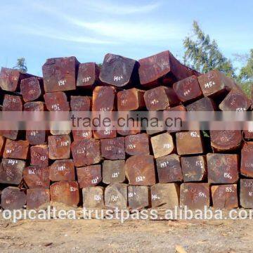 Big size Logs sawn timber Cambodia wood