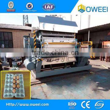 Professional manufacturer tray making machine factory