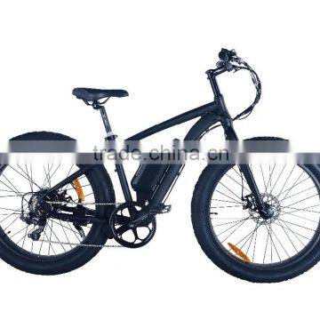 electric bike with fat typsy