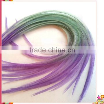 2014 New Arrival hot selling ombre rooster feathers